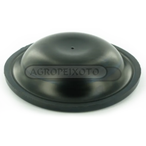 Agropeixoto